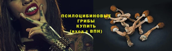 наркотики Богданович
