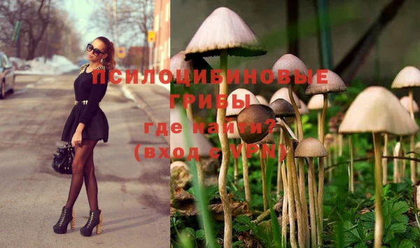 кокаин перу Бородино