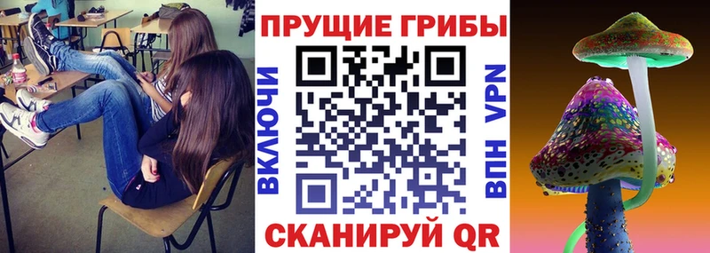 Галлюциногенные грибы Psilocybine cubensis  Ишим 